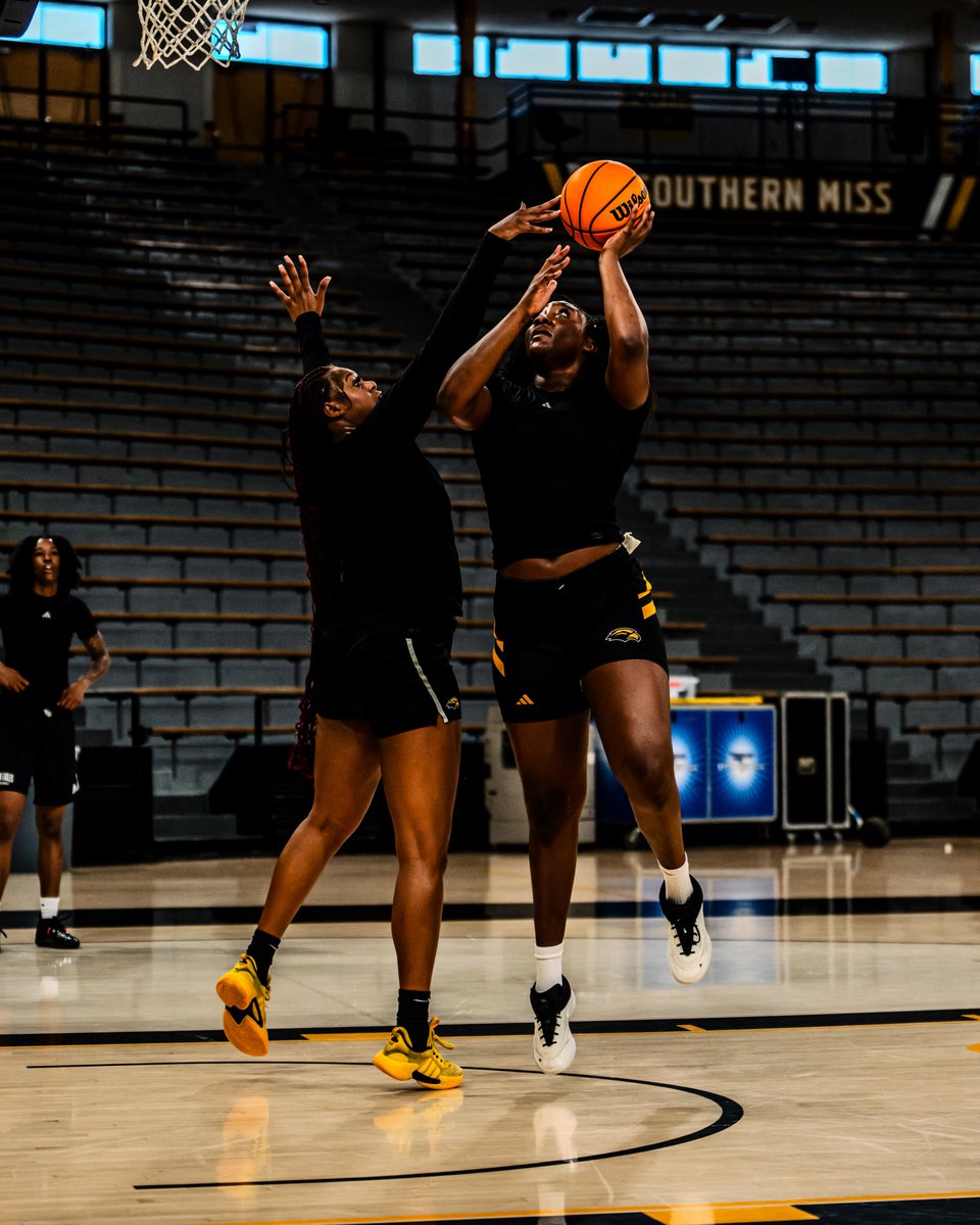SouthernMissWBB's tweet photo. Floor work👷‍♀️🚧🏀

#ELEVATE | #SMTTT https://t.co/3fz7joQ9EX