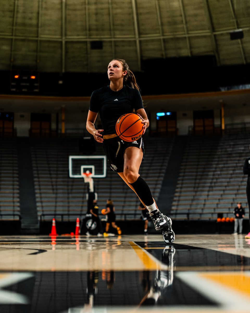 SouthernMissWBB's tweet photo. Floor work👷‍♀️🚧🏀

#ELEVATE | #SMTTT https://t.co/3fz7joQ9EX