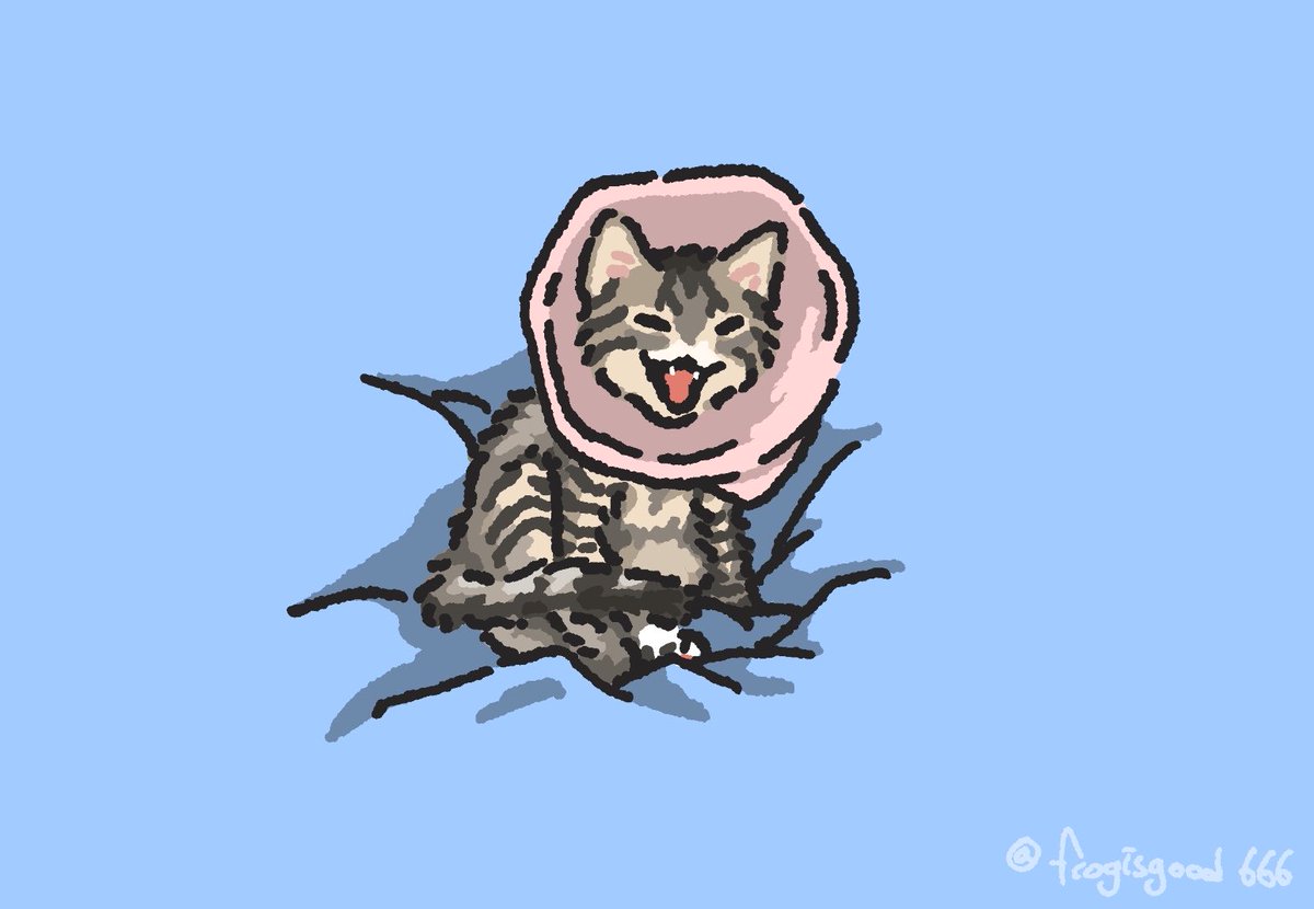 올챙이가된개구리 tweet media