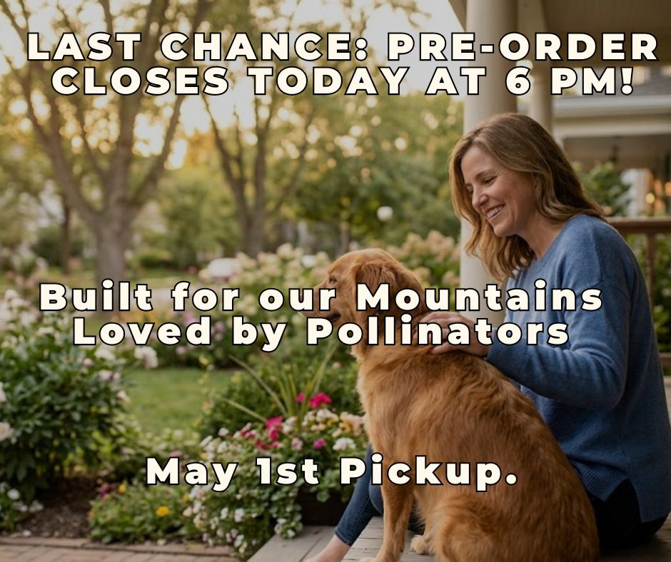 WattersGardenCn's tweet image. These Arizona-grown beauties are built for our mountain climate and designed for a sustai
🛒 Order by 6 PM TODAY for May 1st pickup: wattersgardencenter.com/collections/wi…

#WildWonders, #NativePlants, #WattersGardenCenter, #PrescottAZ, #SustainableGardening,