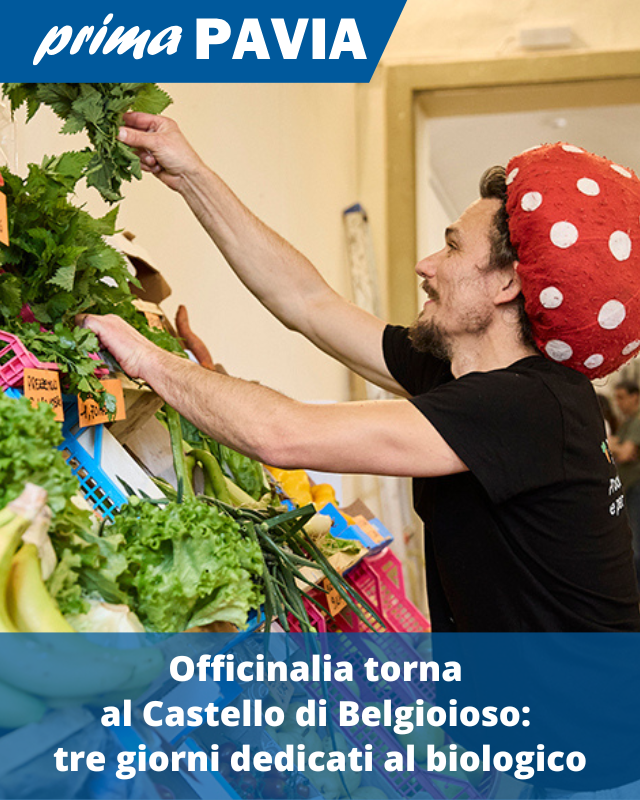 PrimaPavia's tweet image. LEGGI QUI: primapavia.it/attualita/offi…
#Officilia #CastelloBelgioioso #Belgioioso #Biologico #Cultura #Natura #Sostenibilità #Notizie #News