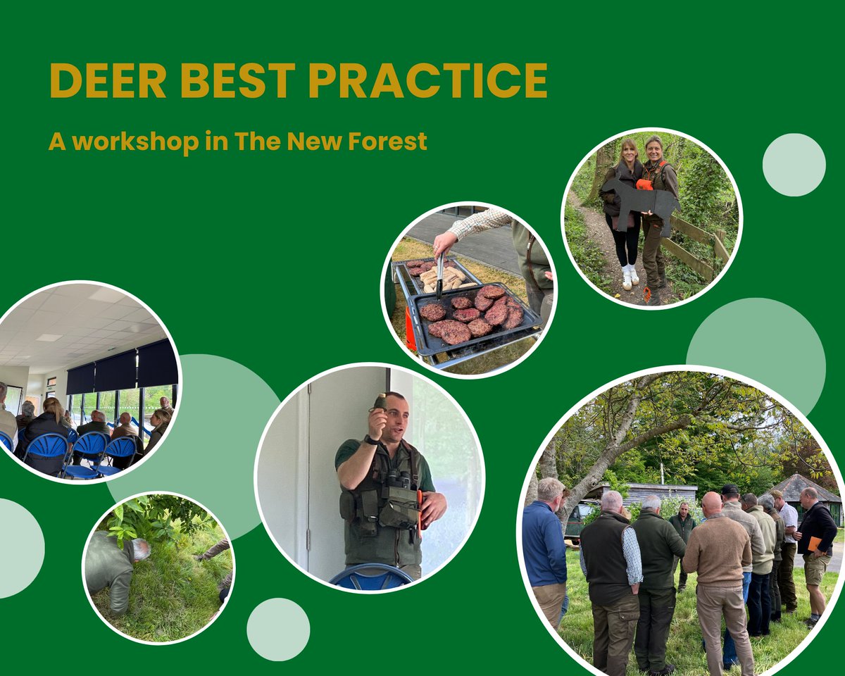 BASCSE's tweet photo. We had a great day in Beaulieu yesterday for our Deer Best Practice event. Plenty of questions and practical advice. Thank you to all that came, we hope you have made some great connections for your onward deer stalking journey, wherever you are in the process. https://t.co/CNV5DC7yVG