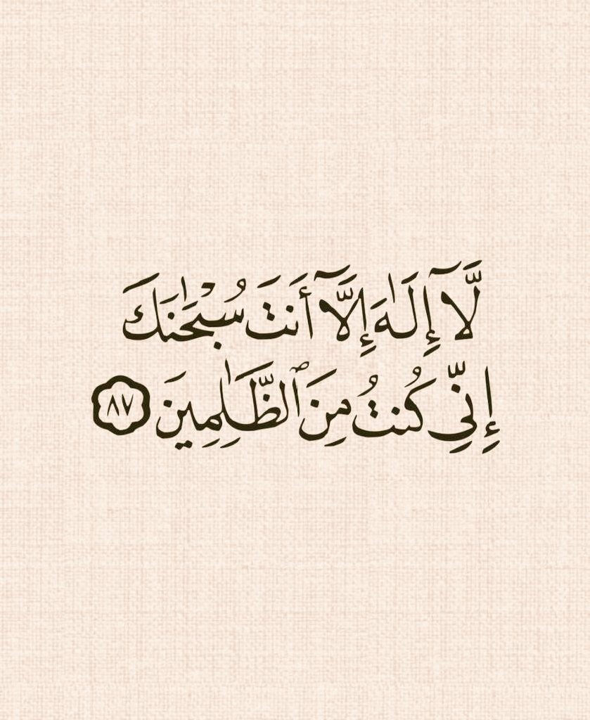 أبو راشد tweet media