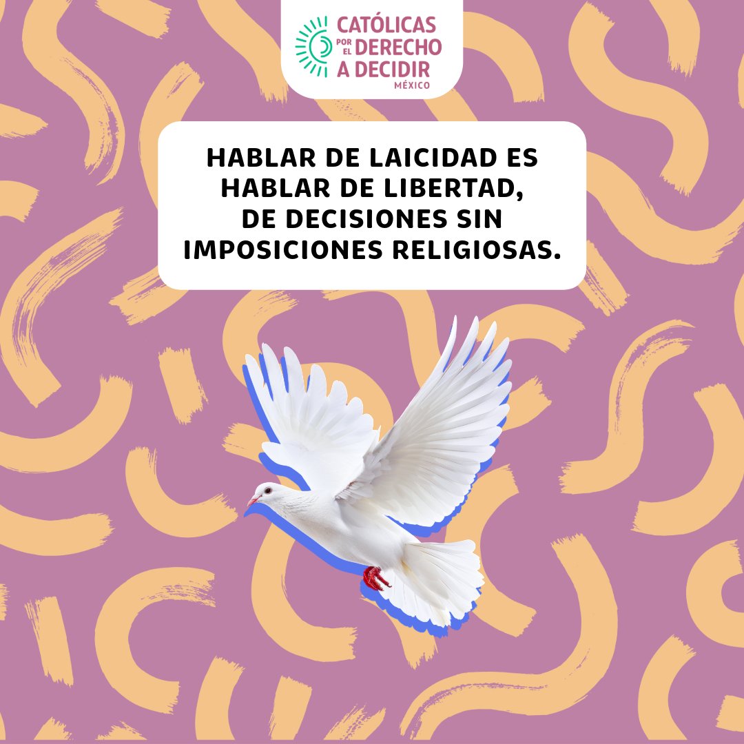 Católicas México tweet media
