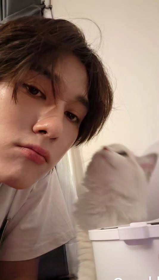 Sea🐈‍⬛🎀 ft.WU✨️📿 tweet media