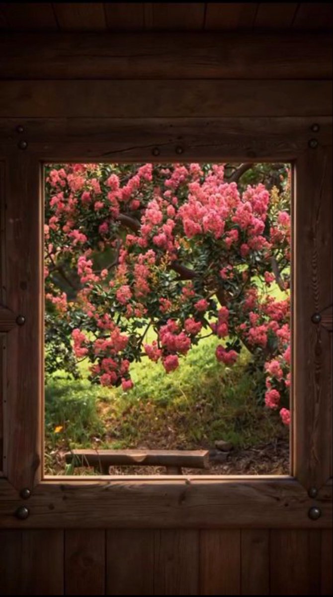 𝑎𝑒𝑠𝑡ℎ𝑒𝑡𝑖𝑐 𝑎𝑟𝑡 tweet media