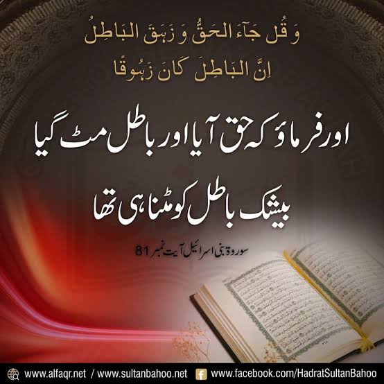 Rolla Shola tweet media