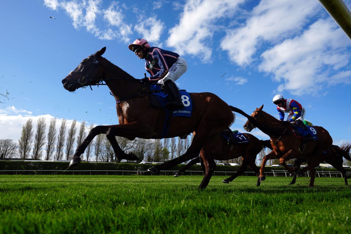 Cheltenham Tips tweet media