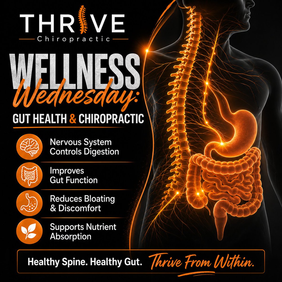 ThriveTroy's tweet photo. Wellness Wednesday
Chiropractic &amp; Your Gut Health

#WellnessWednesday
#ChiropracticCare
#ThriveChiropractic
#PowersOn
#NaturalHealing
#HolisticHealth
#nervoussystemhealth
#GutHealth
#HealthyGut
#DigestiveHealth
#GutBrainConnection
#ImproveDigestion
#BloatingRelief
#HealFromWithin https://t.co/JIi2ioxRZZ
