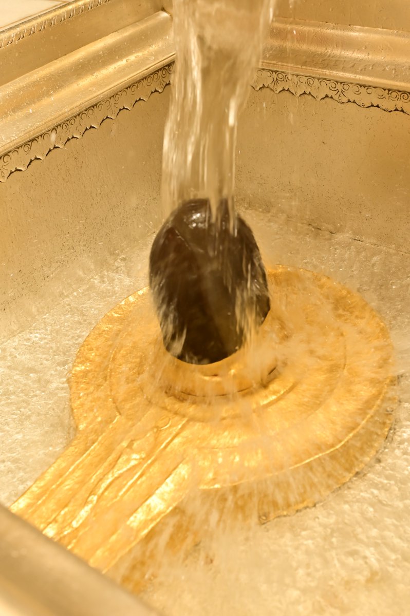 ShriVishwanath's tweet image. श्री काशी विश्वनाथ जी की श्रृंगार आरती I 
#kashivishwanath #kashi #hindu #sanatandharm