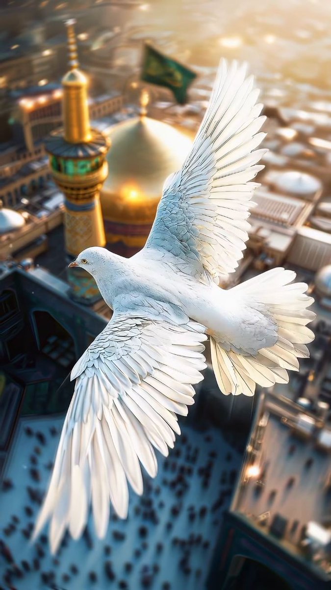 ظیتون🌿 tweet media