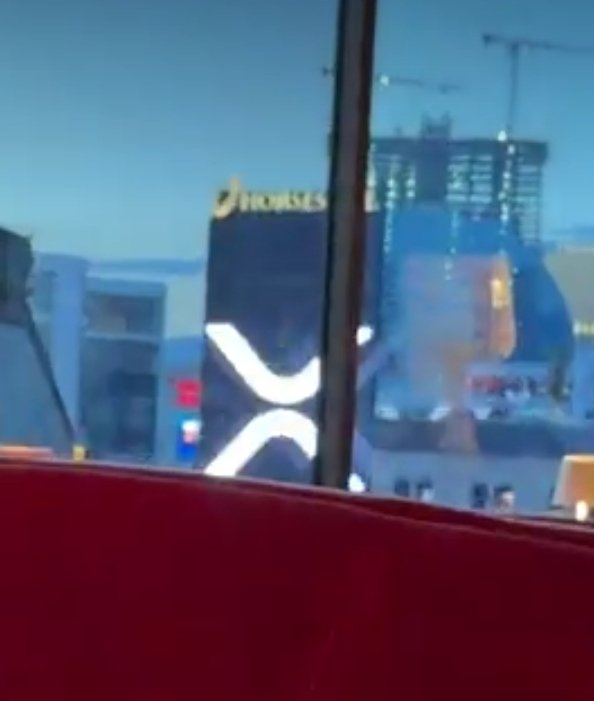 RIZ.. 🇺🇸 🇵🇷 tweet media