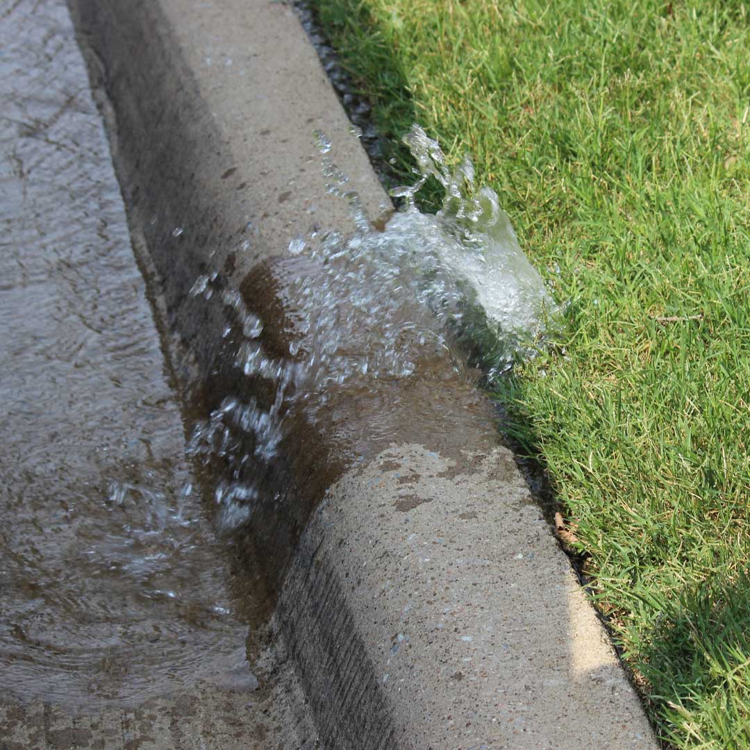 CV Water Counts tweet media