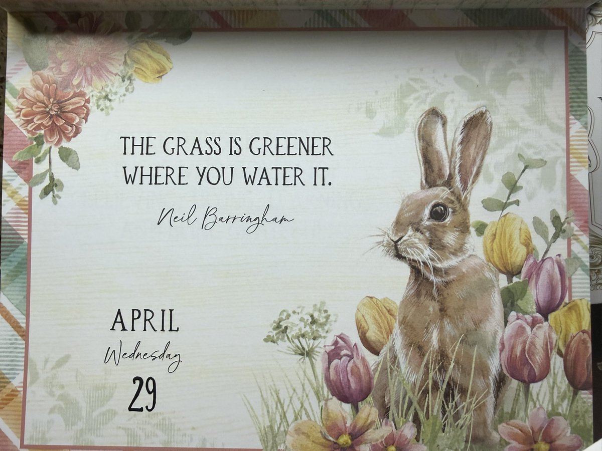 ValleyLili74169's tweet image. Want to achieve success get organized 📝
shorturl.at/ALyBS
#trendingnow #Calendar