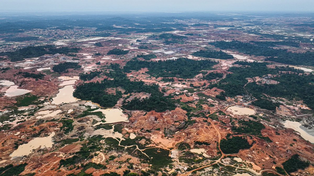 Edem Srem tweet media