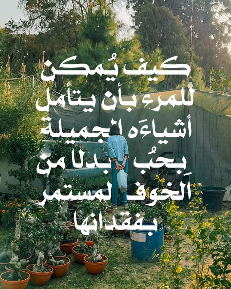 أ. مُحِبّ للجَمال. tweet media