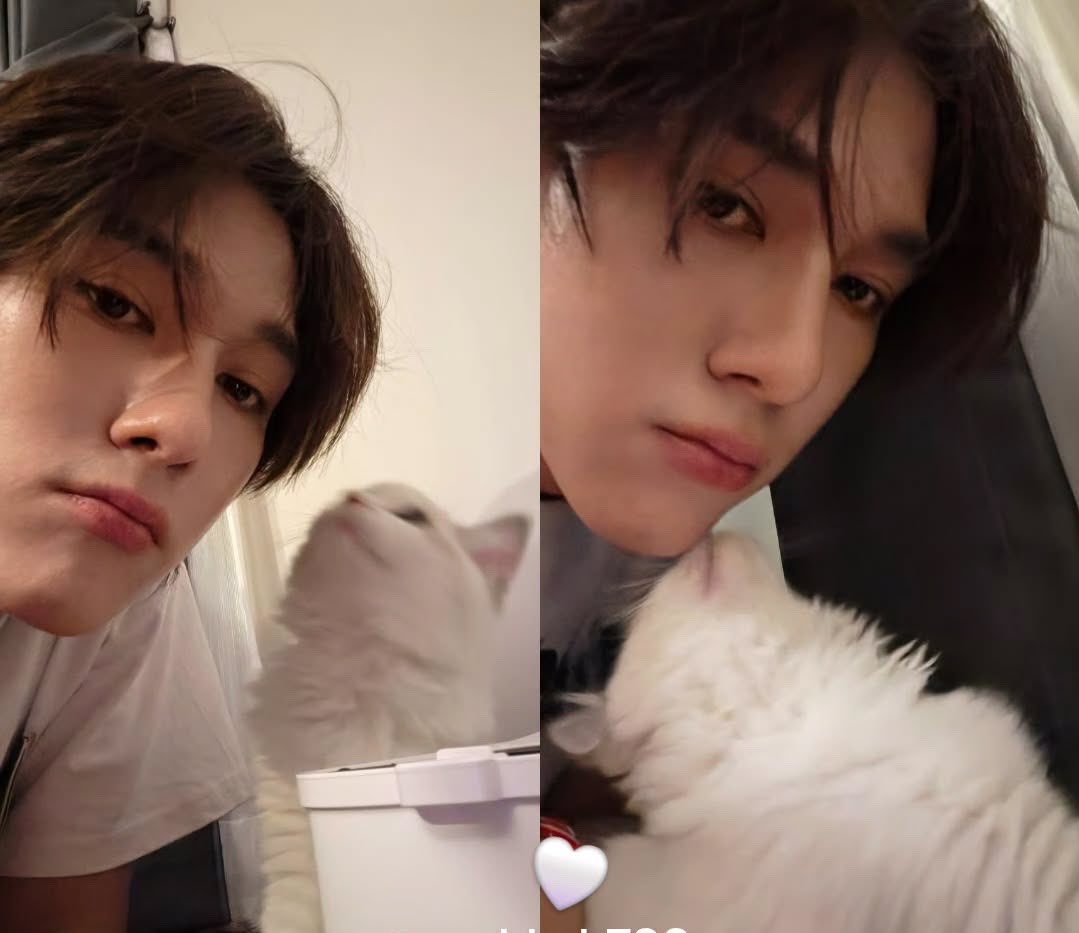 ม๋าแงวว🐶🐈:彡 tweet media