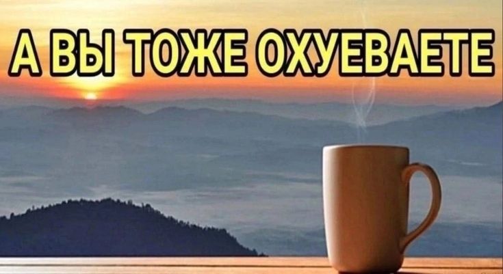kavethamCEO's tweet photo. @wanlvu ВАШ ДРУГ ВАНДЕРЕР ЗАПОСТИЛ НОВЫЙ ТВИТ СРОЧНО ПОСМОТРИТЕ ЧТО ОН ТАМ НАПИСАЛ!!!!!!!!!!!!!!!!! https://t.co/7Z8MJVCMG2