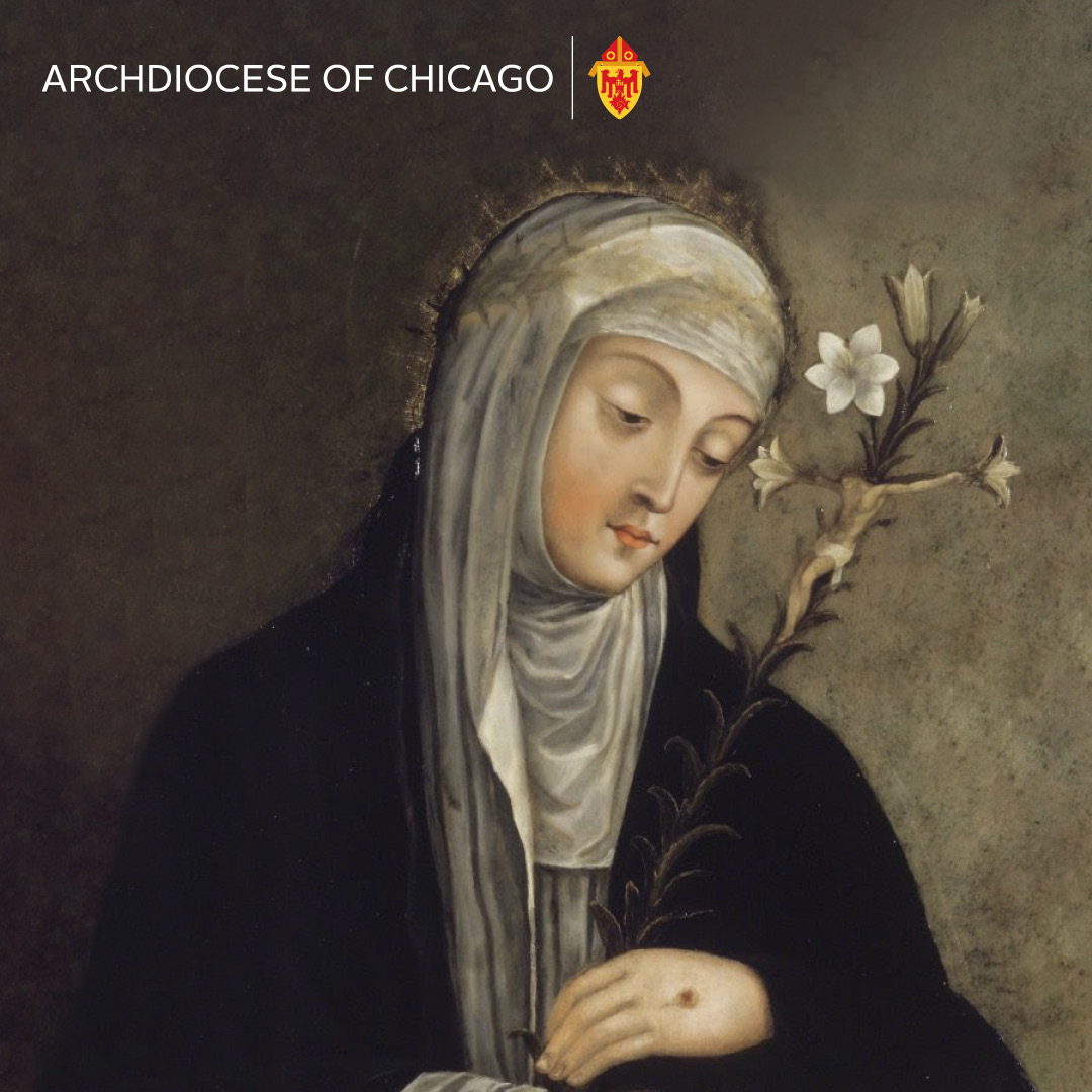 Archdiocese Chicago tweet media