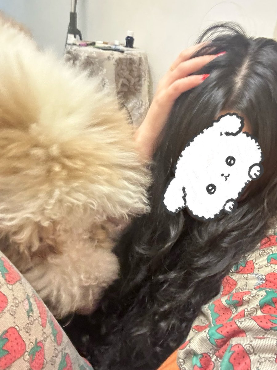 别在后面打闹 tweet media