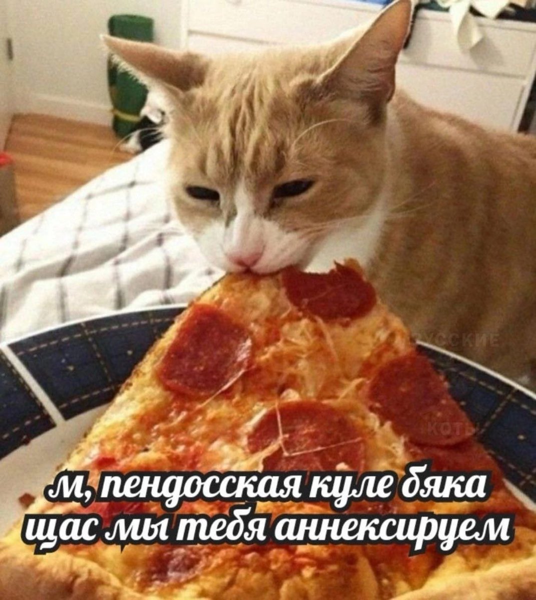 Джулик (@juliamayko) on Twitter photo 
