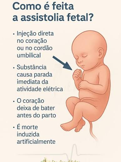 BarbutoRegina's tweet photo. @MariliaArraes Bessias foi a favor da assistolia fetal.
Mas agora é um santo...
#VotouMessiasPerdeuEleicao https://t.co/v1Foiuv4fb