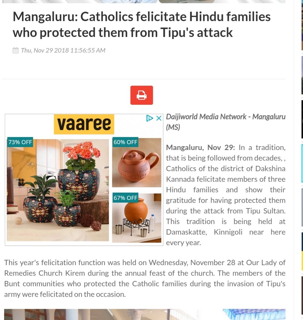 Falcon Feline tweet media