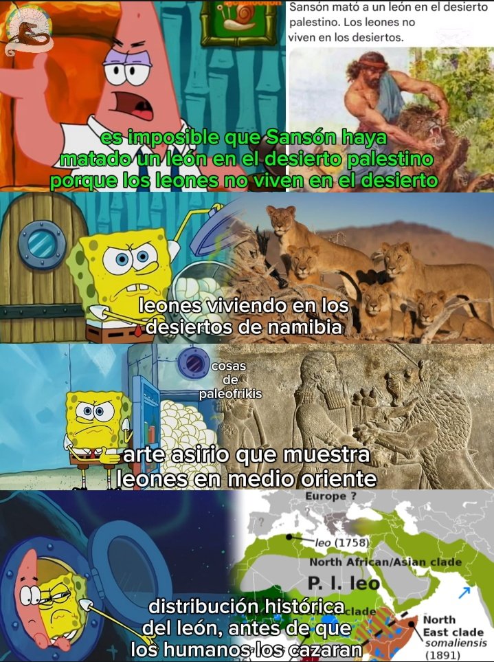 cosas de paleofrikis tweet media