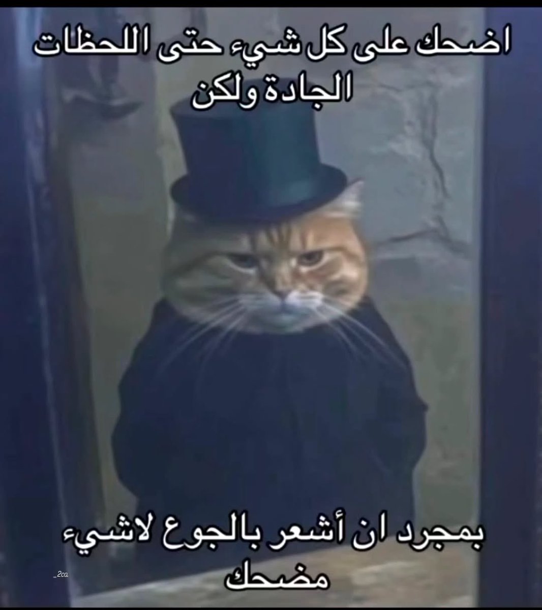 abdulrahman tweet media