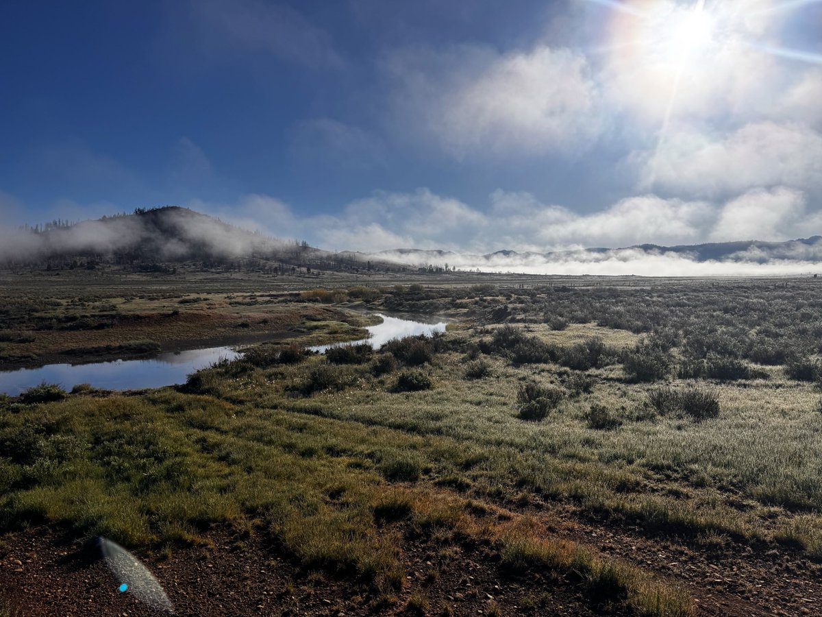 a a r o n tweet media