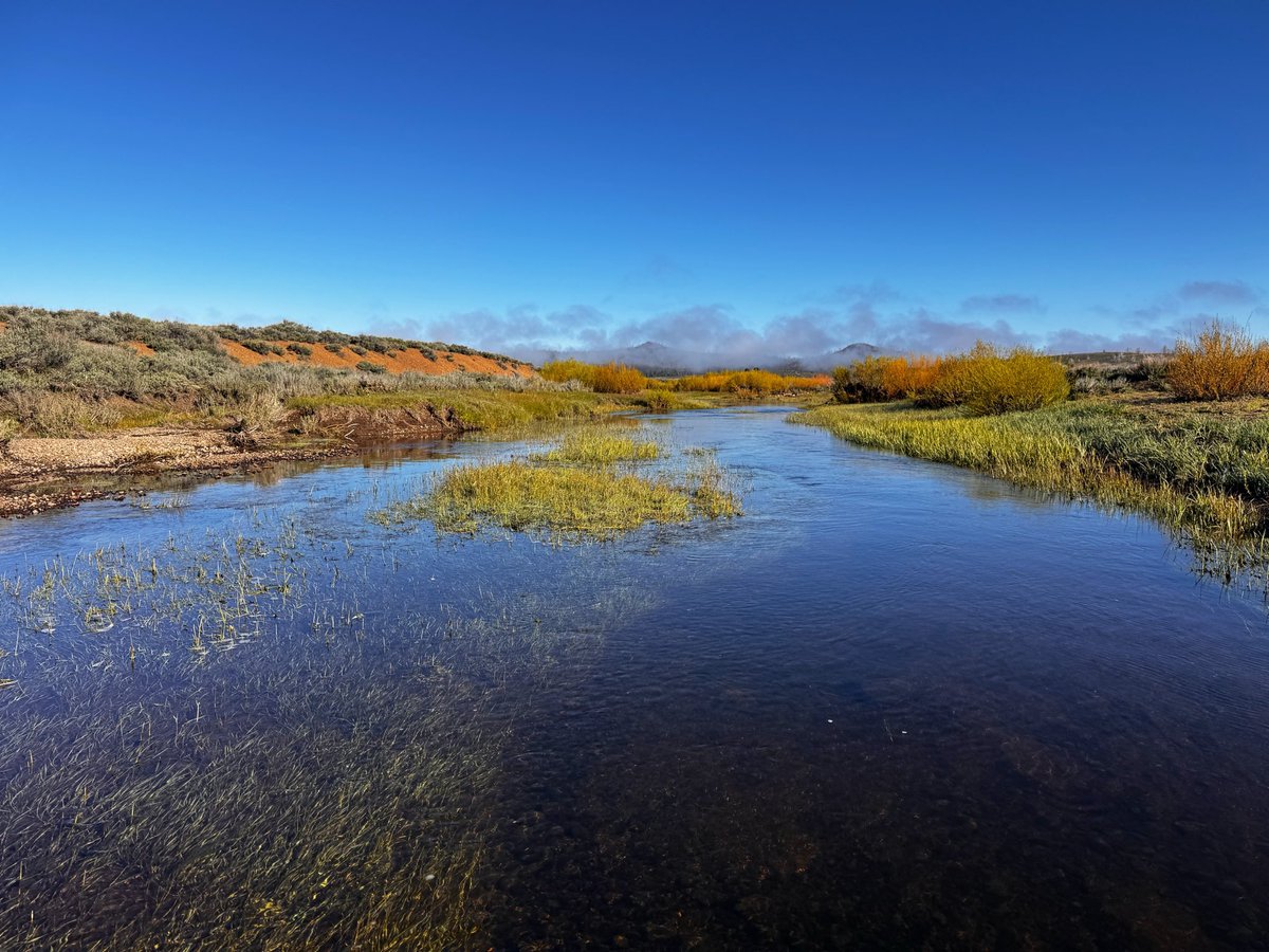 a a r o n tweet media