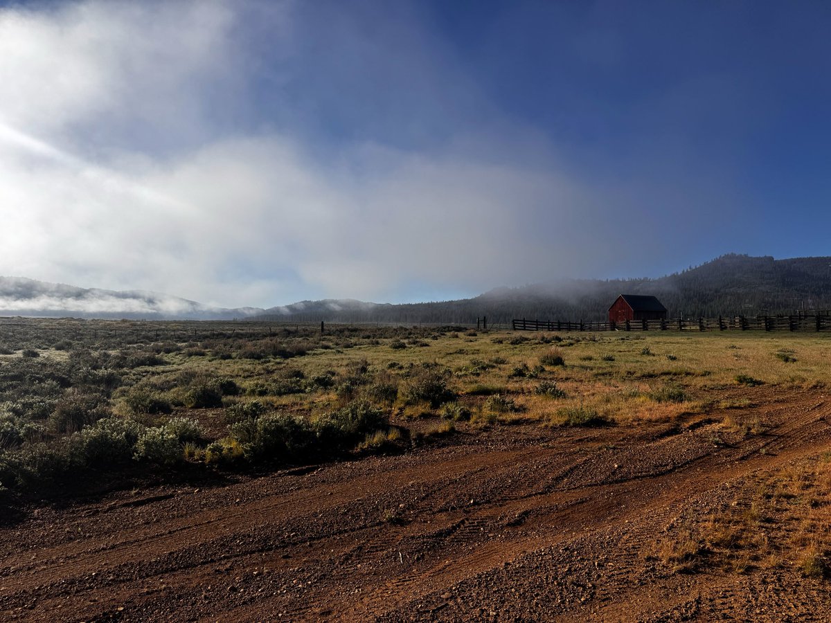 a a r o n tweet media