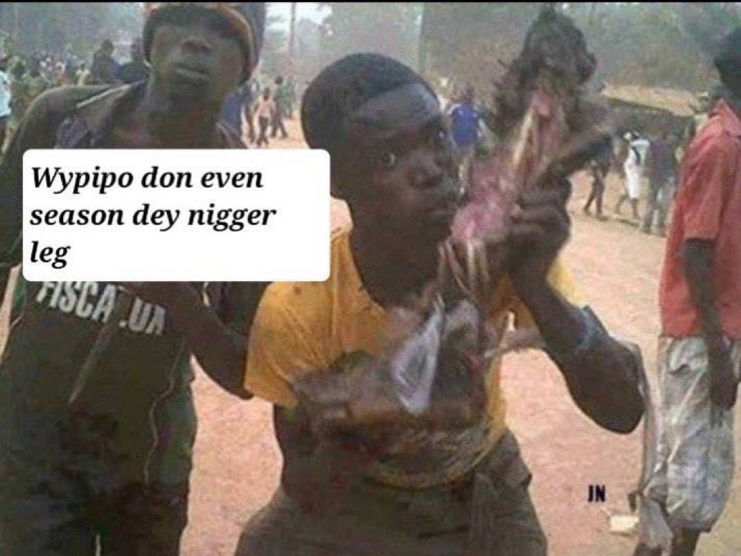 WiloGecko tweet media