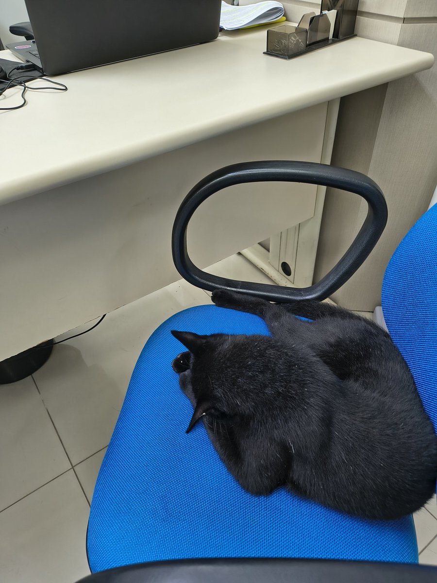 eroderegirl tweet media