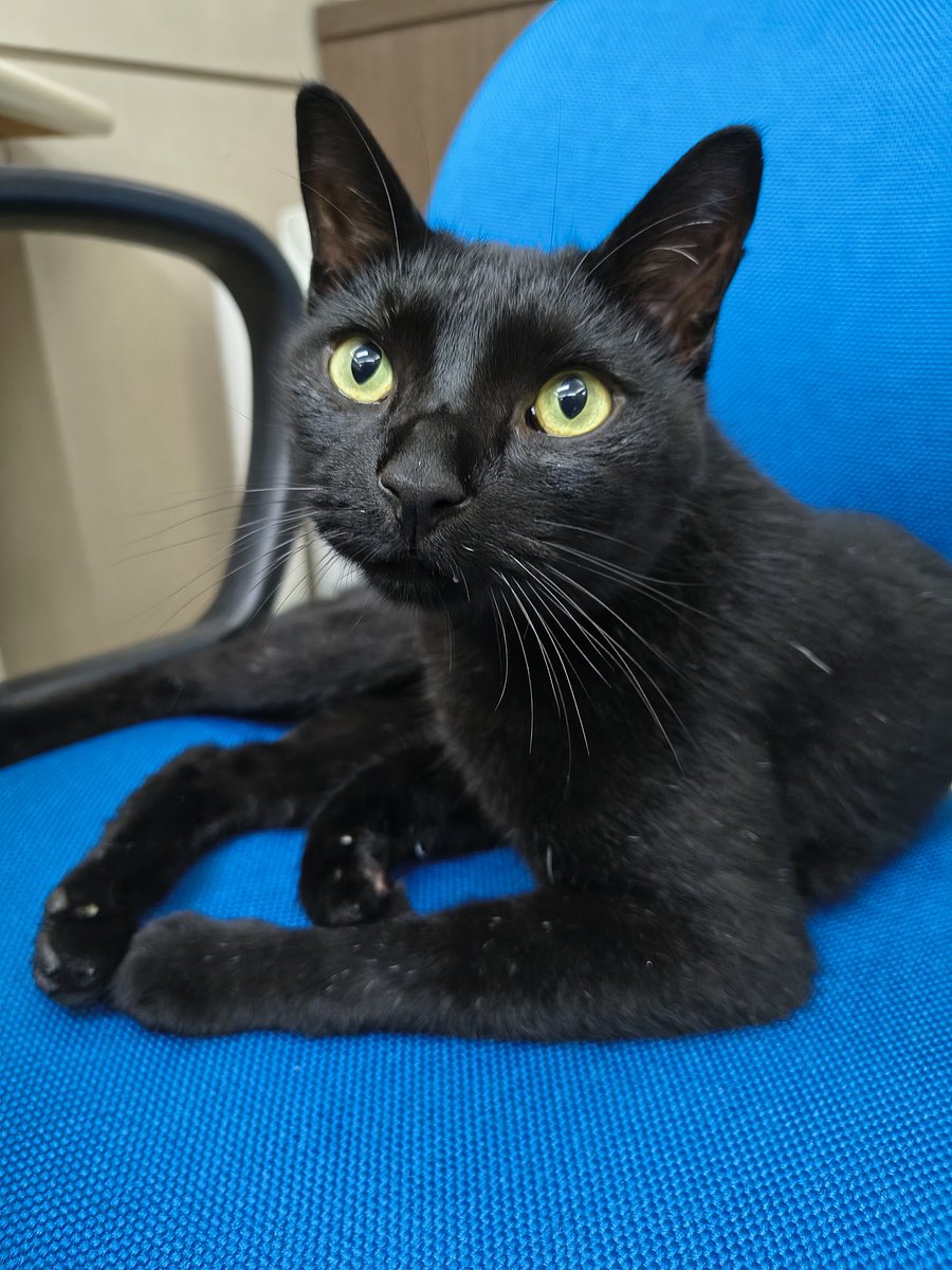 eroderegirl tweet media