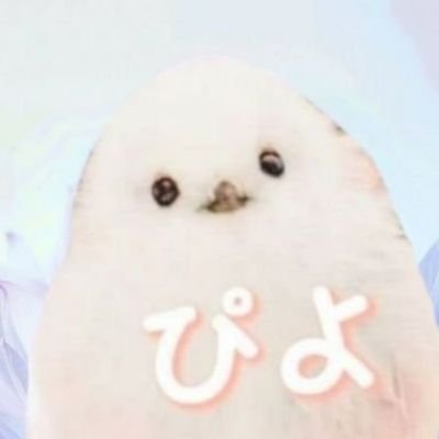 瑠曖🧡 tweet media