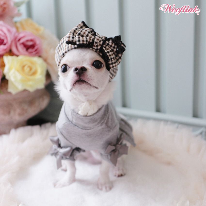 Posh Puppy Boutique tweet media