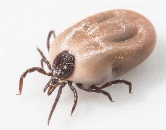 No surrender 😡💥 tweet media