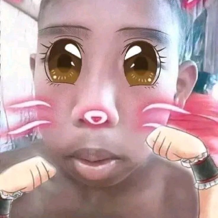 gefal cetascetas tweet media