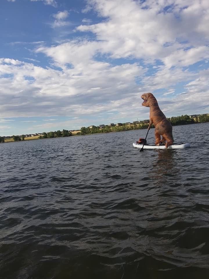 T-Rex tweet media