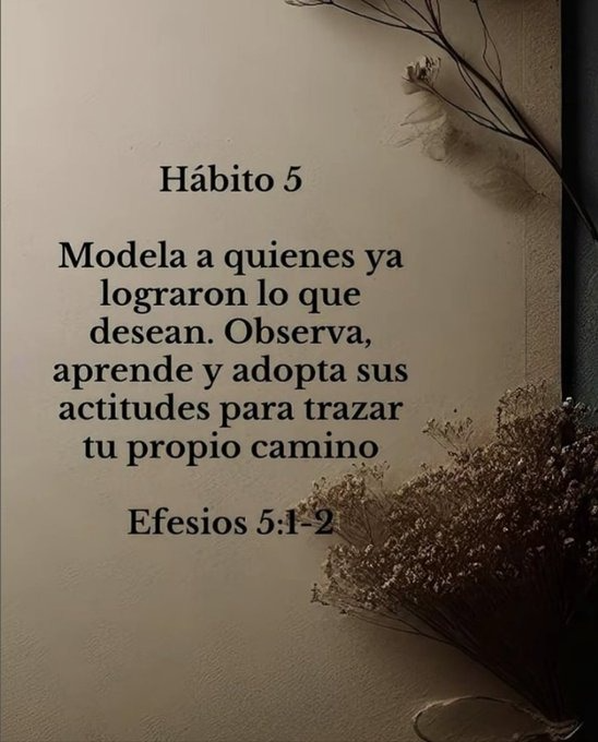 jota_mca's tweet photo. https://t.co/Gj8rzKh7lg
