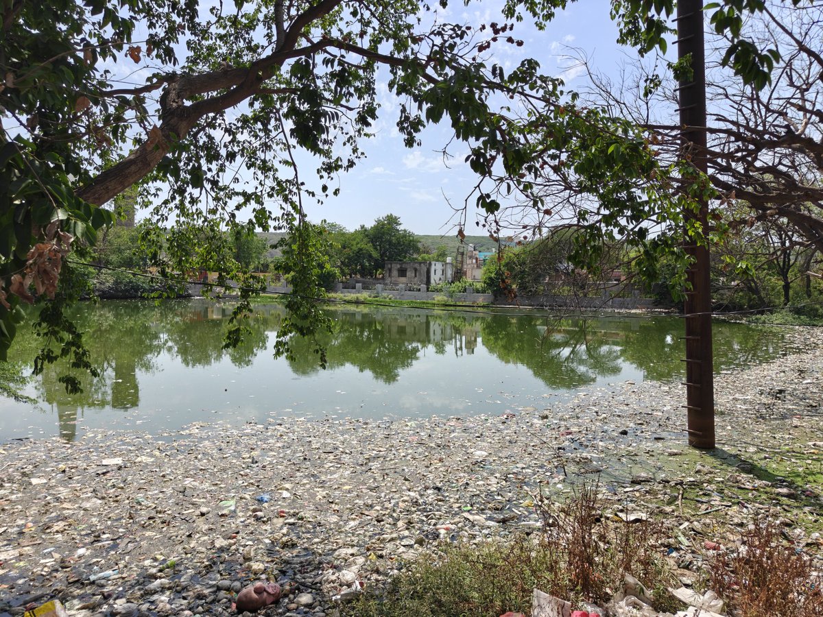 Gauri Sarin tweet media