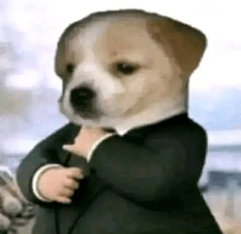 meu pai passou a vida toda tentando me convencer que eu era uma criança/adolescente com inteligência abaixo da média então sofro do efeito contrário pq hj me acho inteligente demais por fazer qualquer porra obg pai tmj