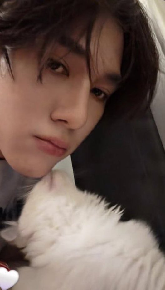 nani 黑猫 🐈‍⬛🩵🩷 tweet media