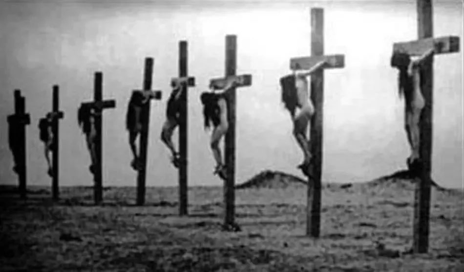 Krisztina Maria tweet media