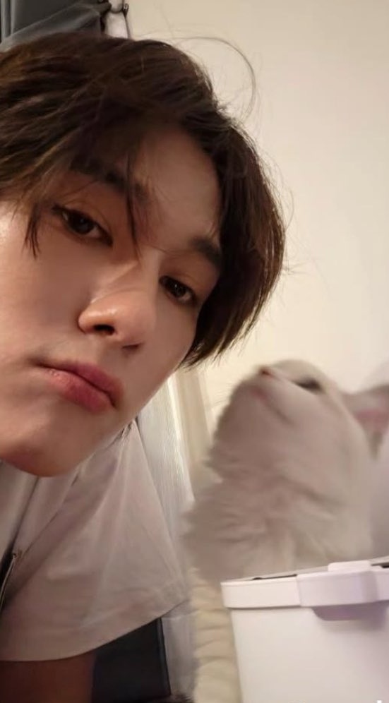 ann_⋆.★⁷ tweet media