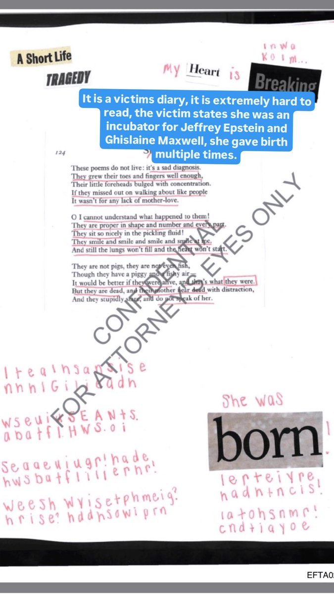 Oscar Singh tweet media