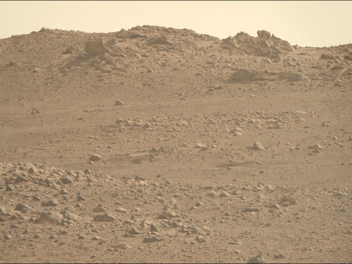 Cosmiclab tweet media