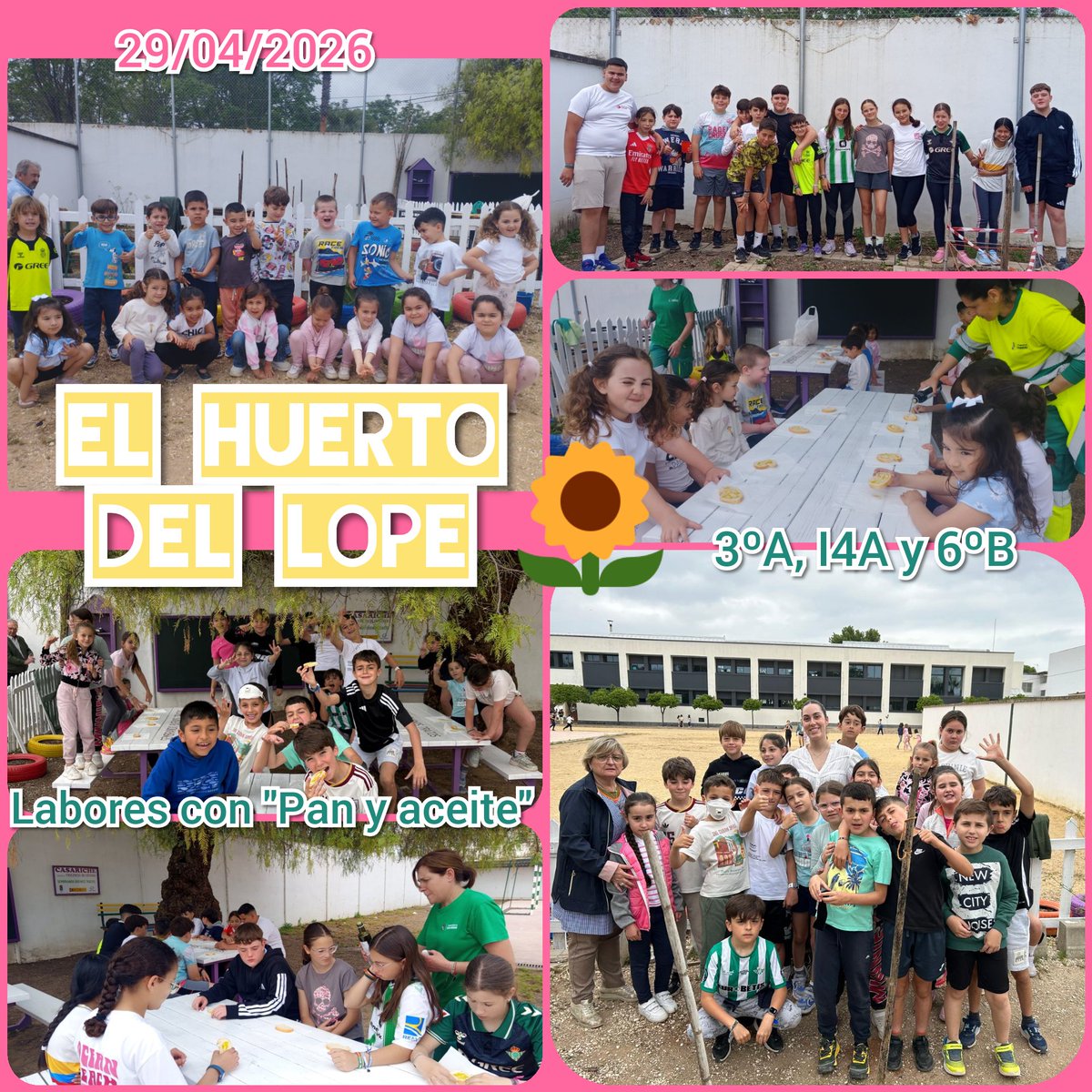 CEIP Lope de Vega tweet media