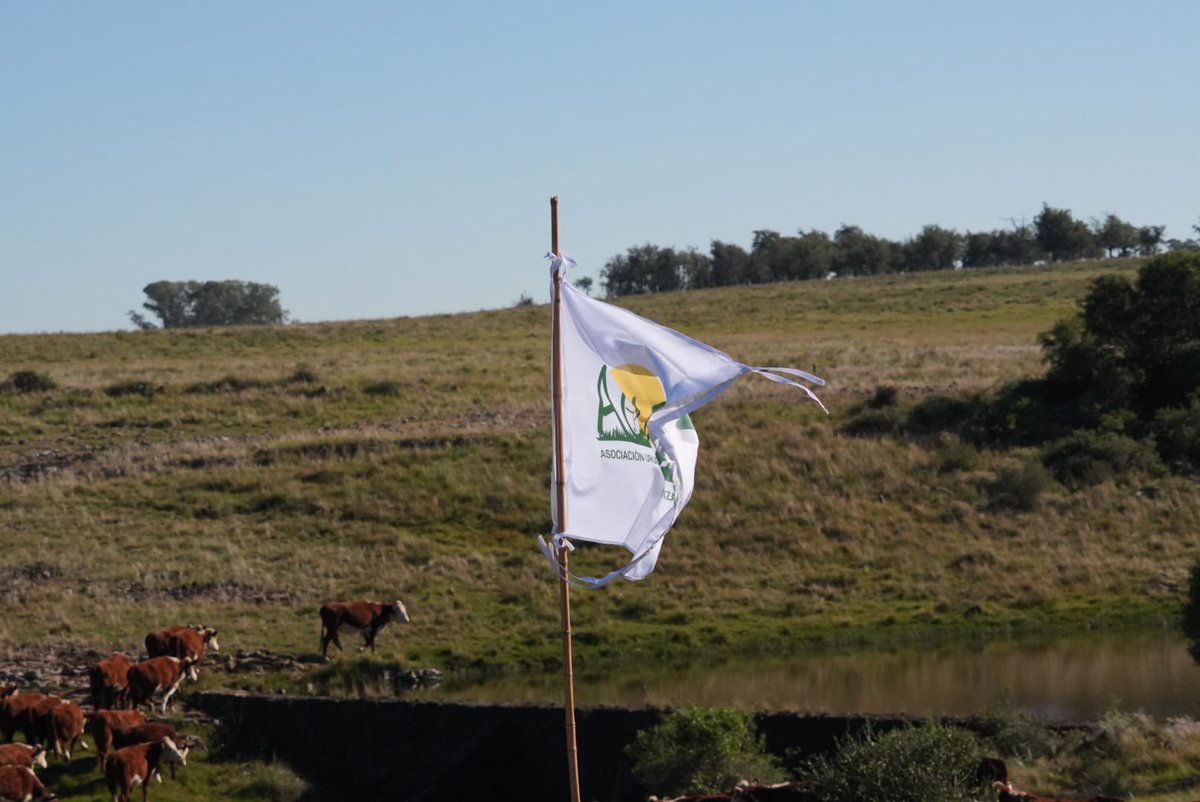 PlanAgro's tweet photo. 📌 11º Jornada "Conociendo a nuestros Ganaderos del Pastizal"🌿
📍Carumbé, Salto
🖼️👉 https://t.co/Zxxwp6hJyx

@AUGAP_2016 #AñoDeLosPastizalesYLosPastores @AlianzaPastizal @guaymiranbone13 #PlanAgro https://t.co/cougXW3qF4